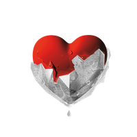 Fondazione Il Cuore si Scioglie
