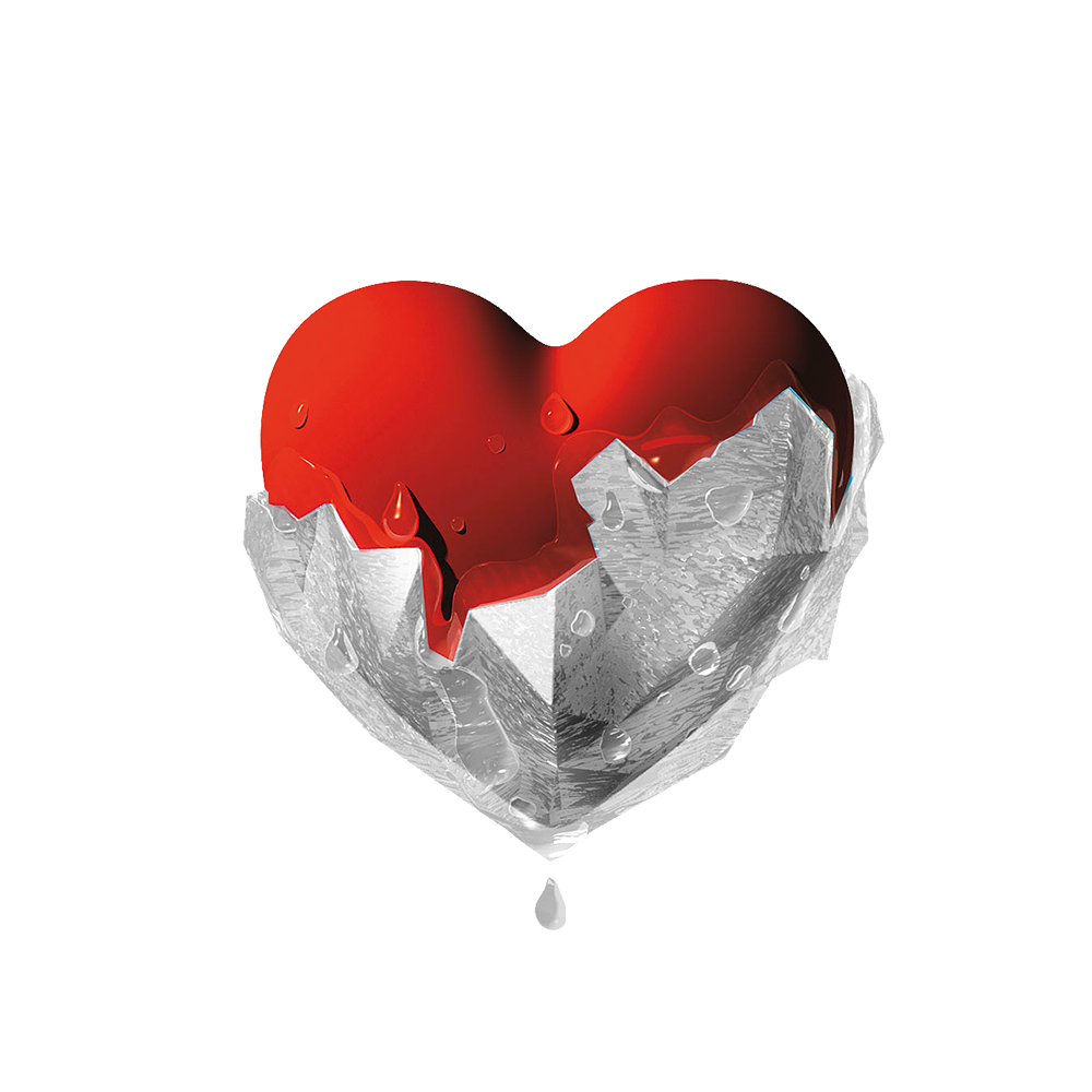Fondazione Il Cuore si Scioglie